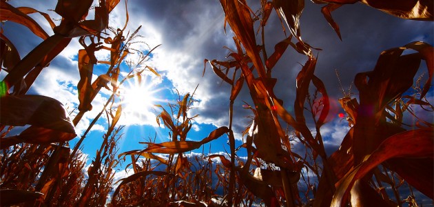 March Against Monsanto niet nieuwswaardig genoeg?