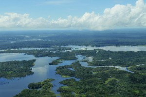 Goede voornemens: overstappen wordt niet comfortabeler (Amazon20 door CIAT International Center for Tropical Agriculture)