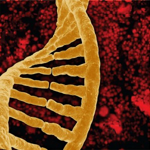 Opsporen (Viral DNA by EMSL)