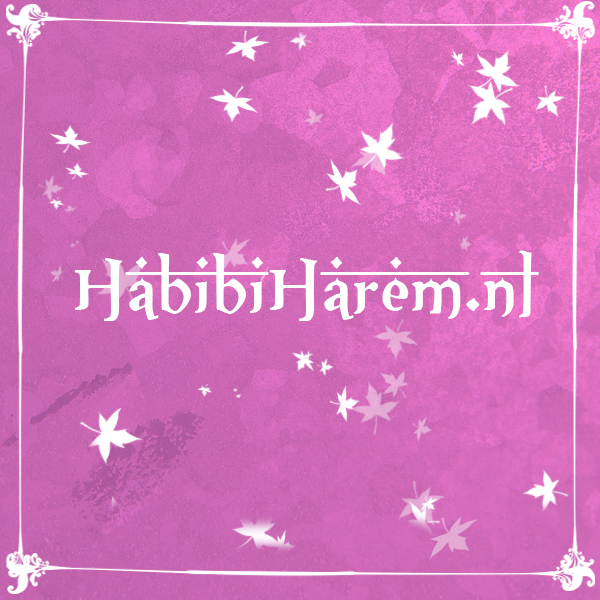 Habibi Harem: modern-islamitisch uithuwelijken